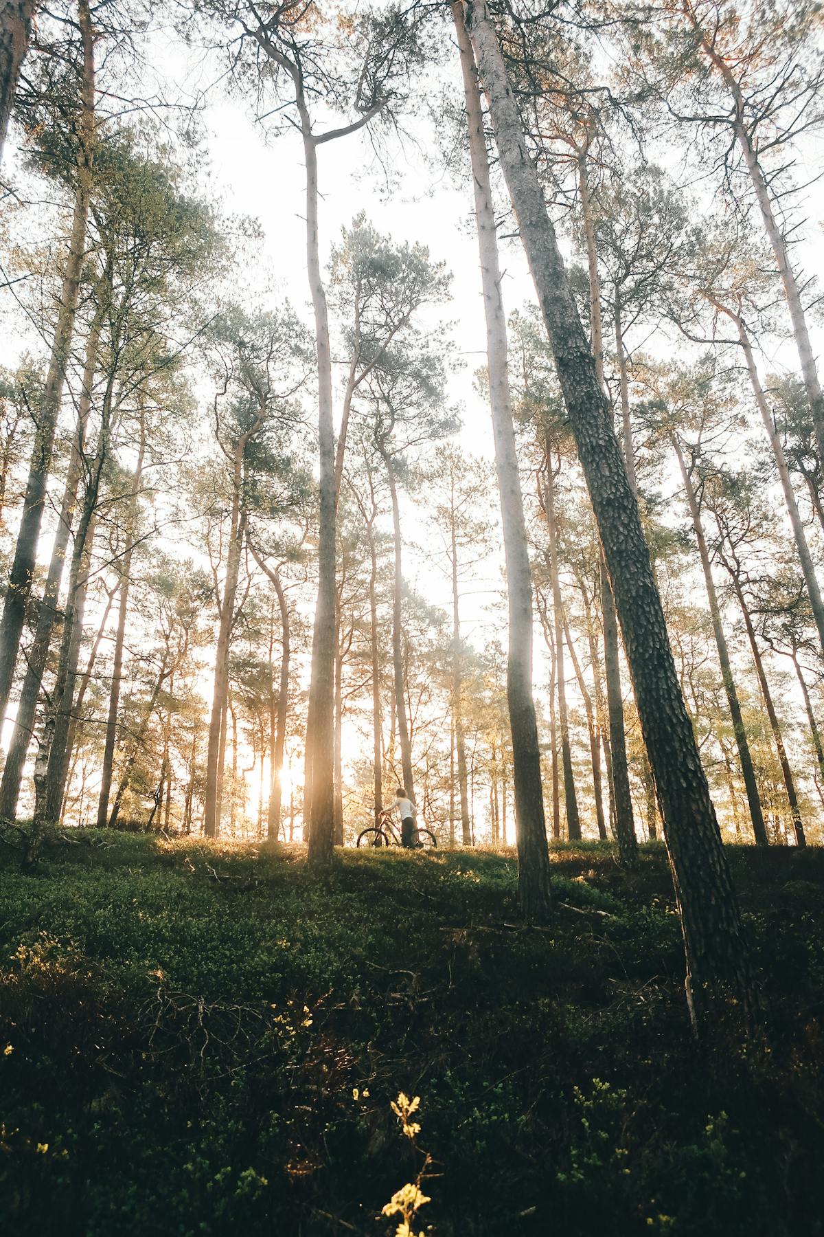 Celebrity paparazzi public spotted relationship